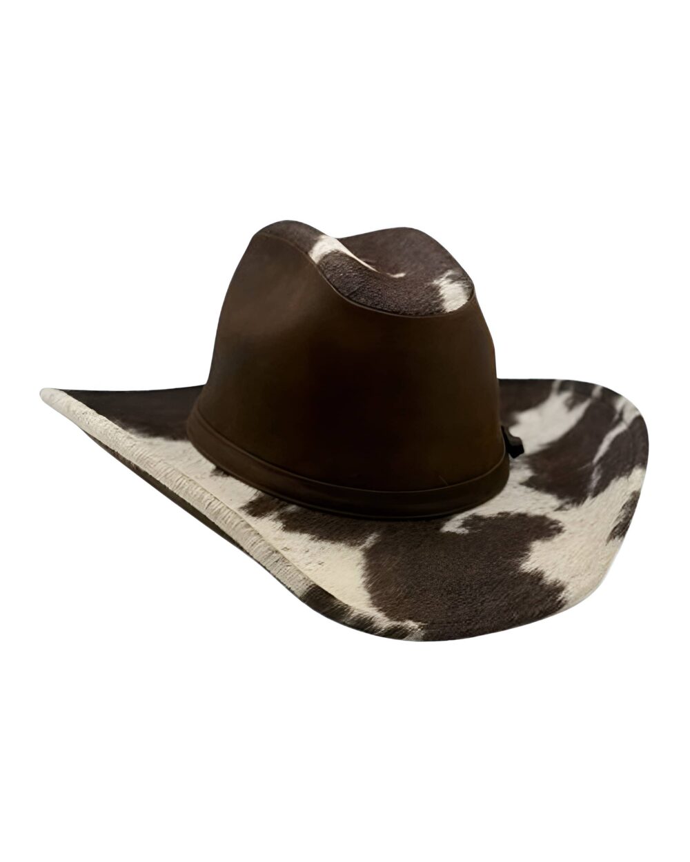 Raw Cowboy